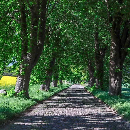 App 7 Granitzblick, Apartment